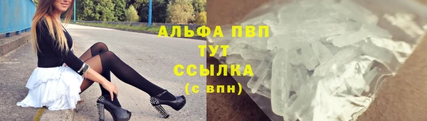 спиды Абаза