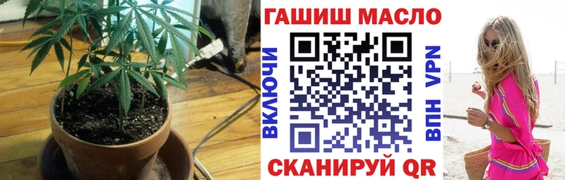 дарнет шоп  Шлиссельбург  Дистиллят ТГК гашишное масло 